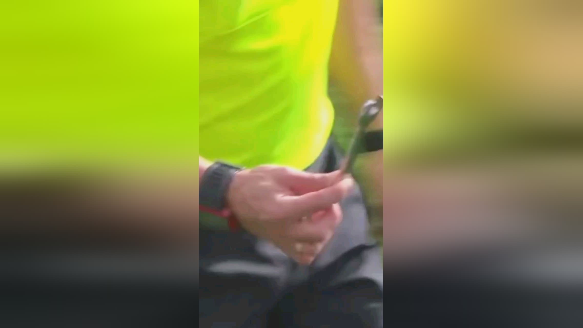 调整